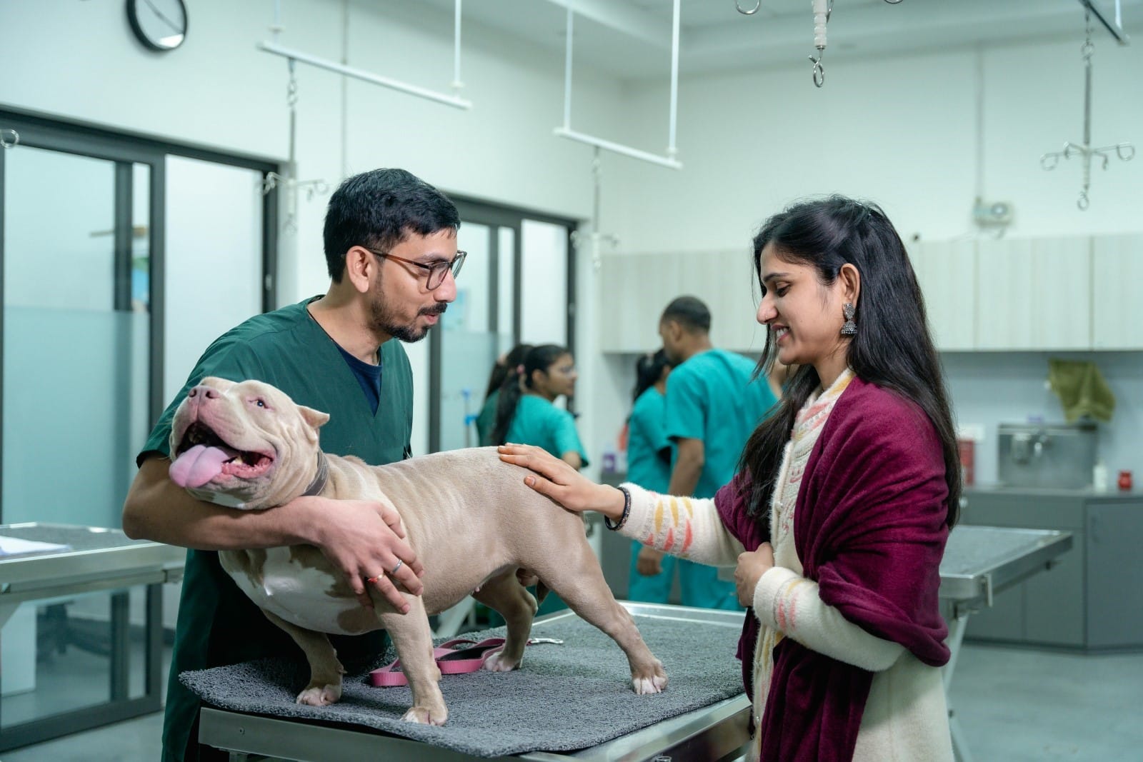A vet holding a dog with the owner petting it 